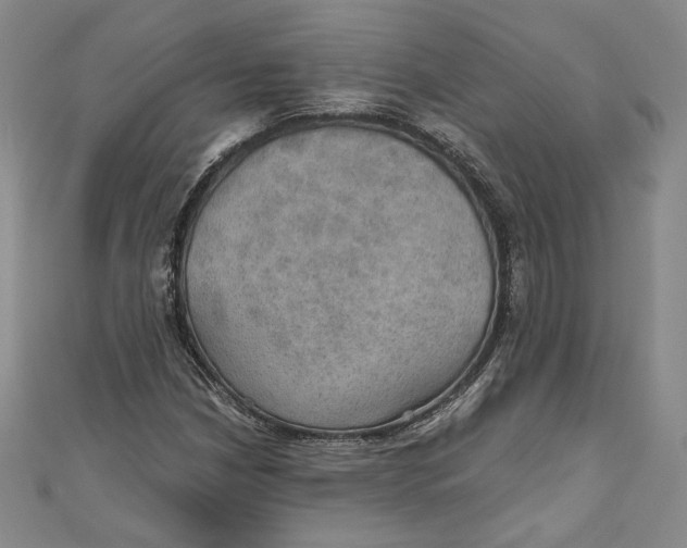 X0000110891210200907091347