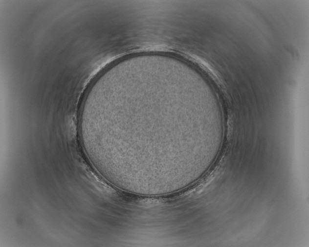 X0000110891212200907091347