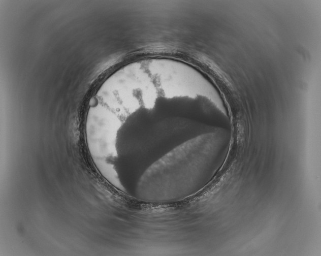 X0000110891213200907091347