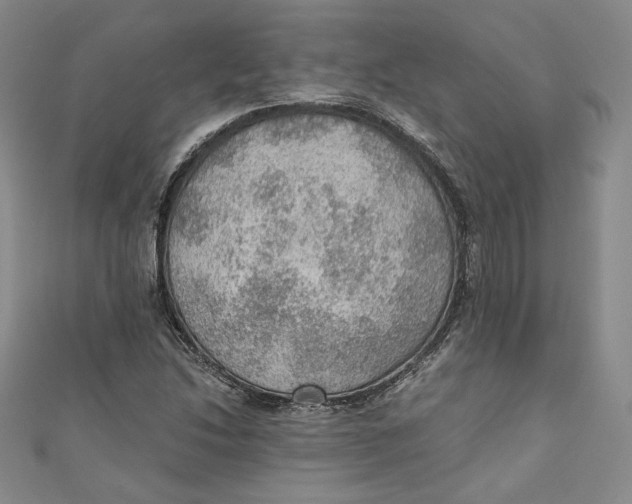 X0000110891214200907091347