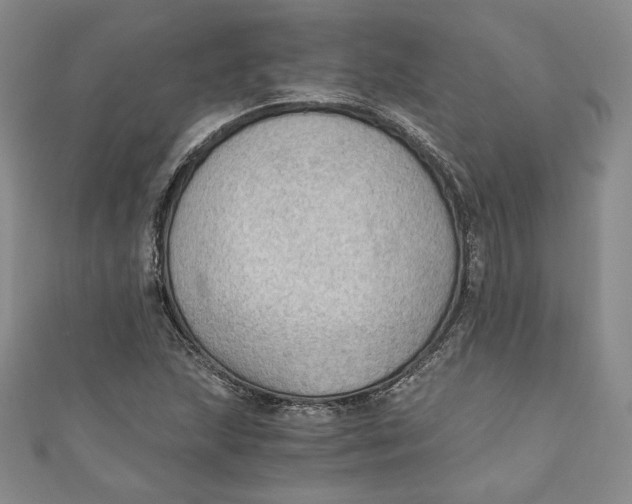 X0000110891215200907091347