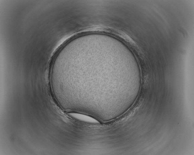 X0000110891216200907091347