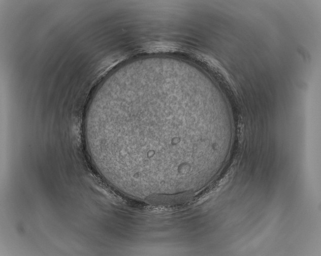 X0000110891217200907091347