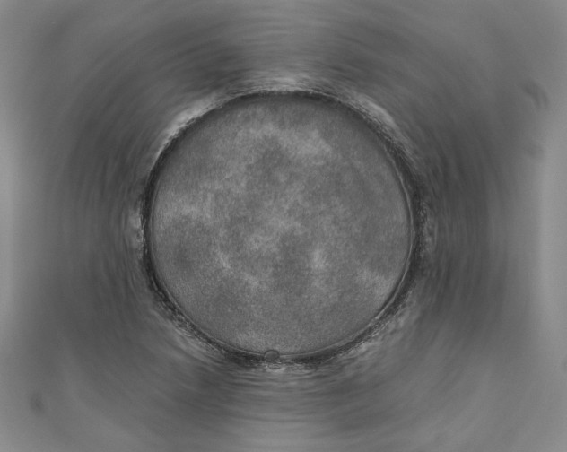 X0000110891218200907091347