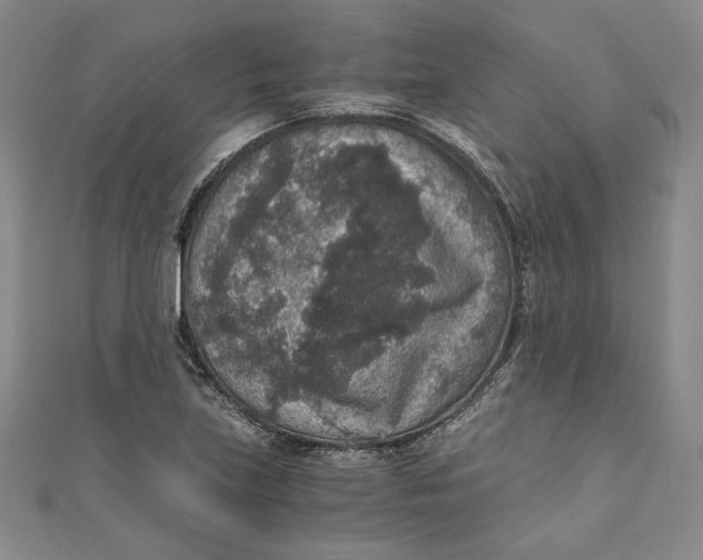 X0000110891219200907091347