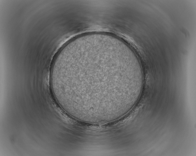 X0000110891220200907091347