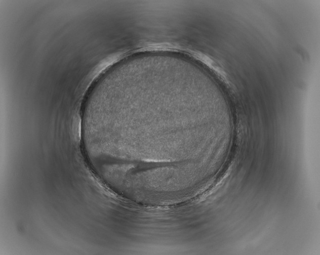 X0000110891221200907091347