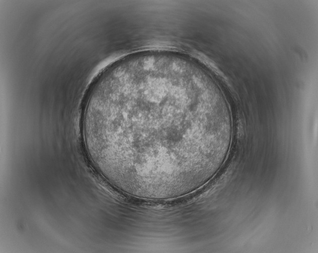 X0000110891222200907091347