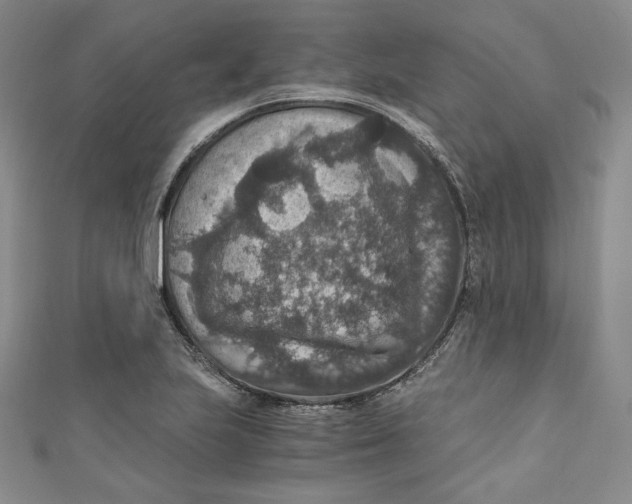 X0000110891223200907091347