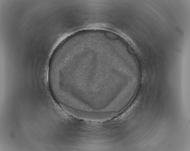 X0000110891224200907091347