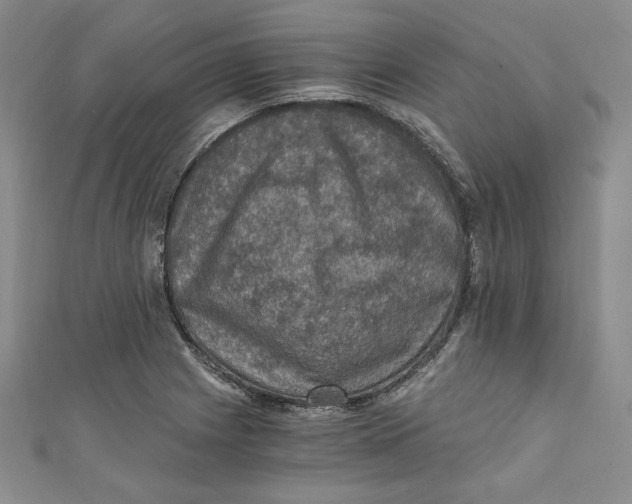 X0000110891225200907091347