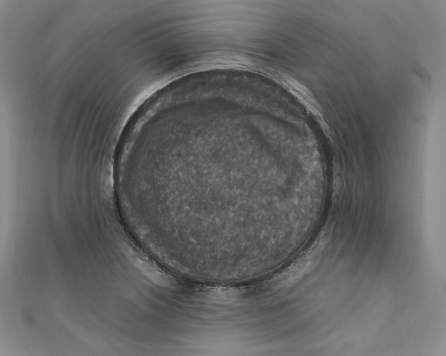 X0000110891226200907091347