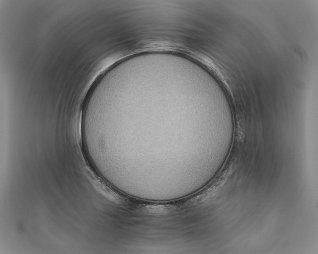 X0000110891227200907091347