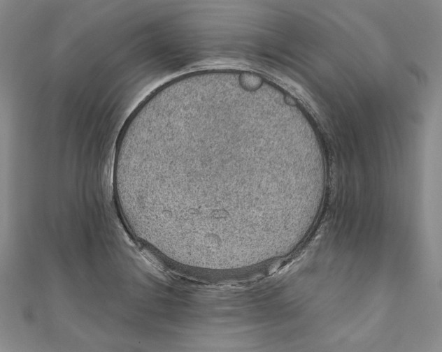 X0000110891228200907091347