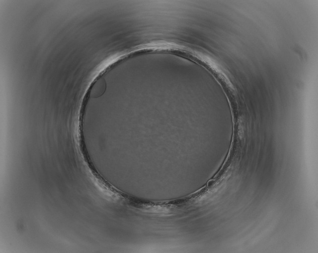 X0000110891229200907091347