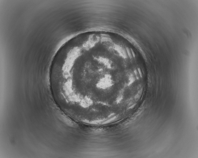 X0000110891230200907091347