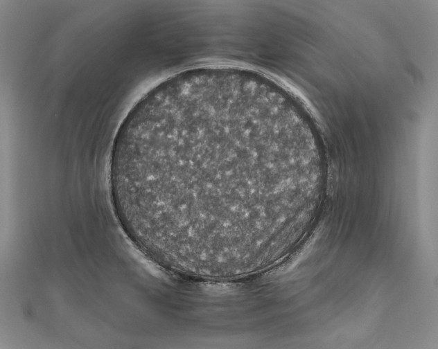 X0000110891231200907091347