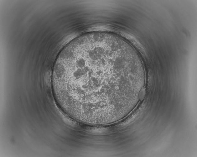 X0000110891233200907091347