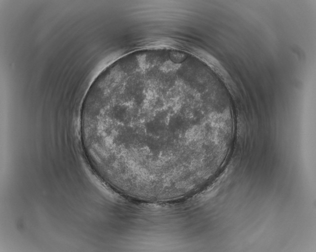 X0000110891234200907091347