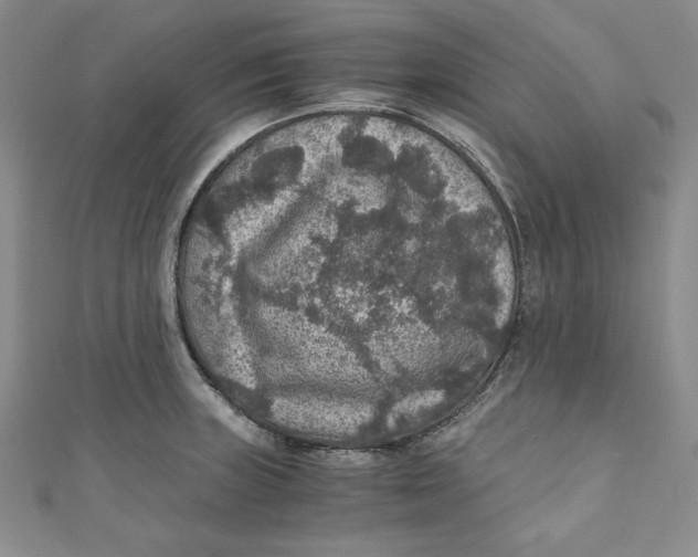 X0000110891235200907091347