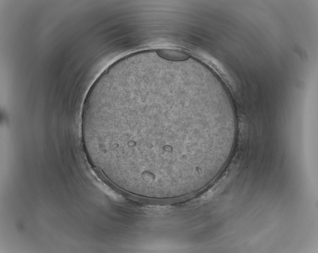 X0000110891236200907091347