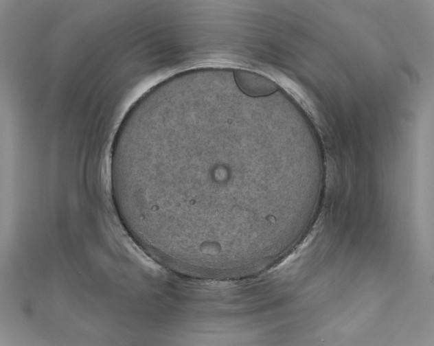 X0000110891238200907091347