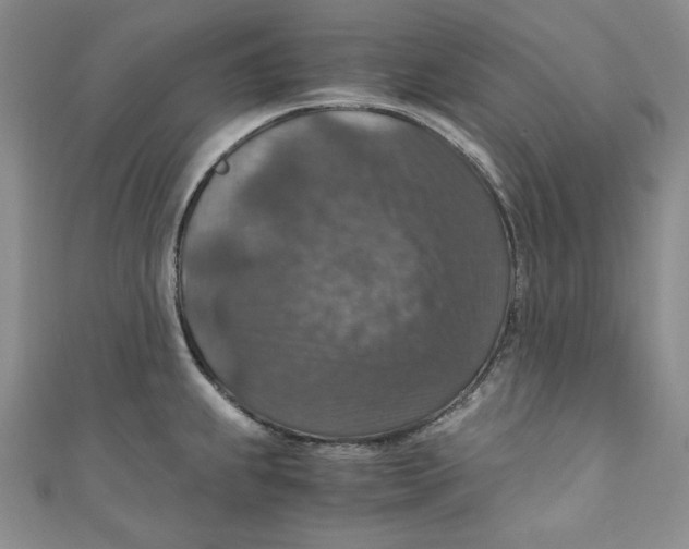 X0000110891239200907091347