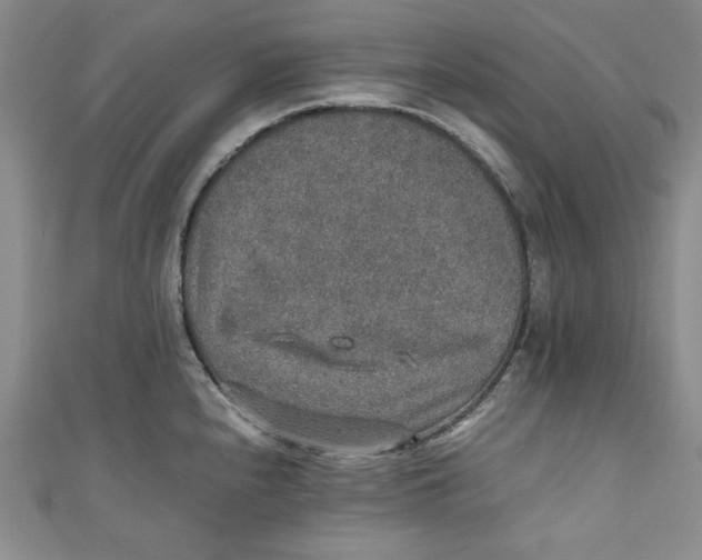 X0000110891240200907091347