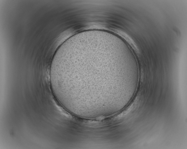 X0000110891241200907091347