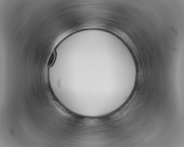 X0000110891242200907091347