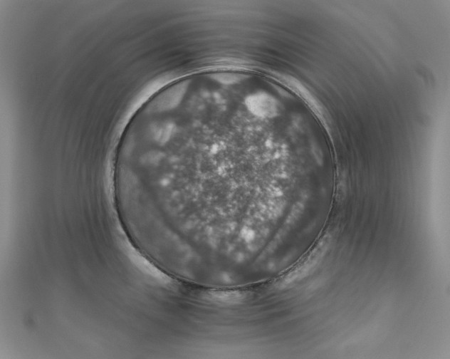 X0000110891243200907091347