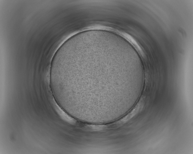 X0000110891244200907091347