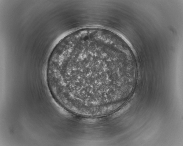 X0000110891245200907091347