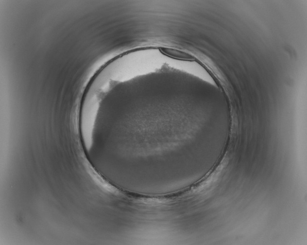 X0000110891246200907091347