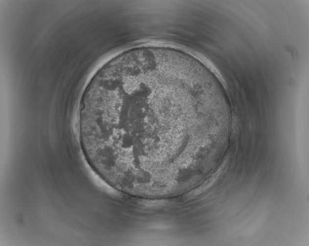 X0000110891247200907091347