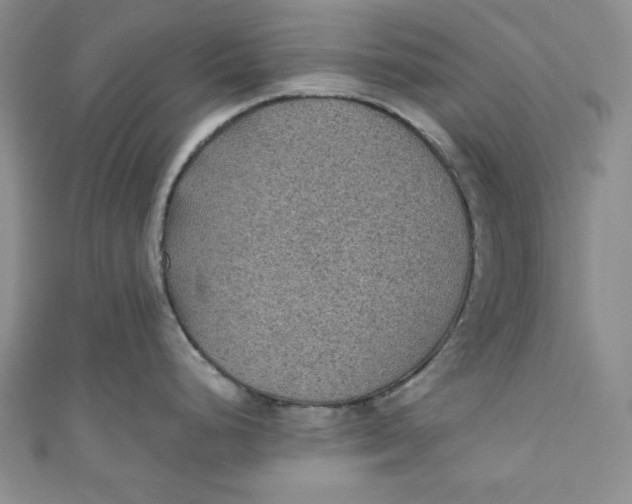 X0000110891248200907091347