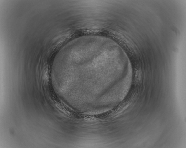 X0000110891250200907091347