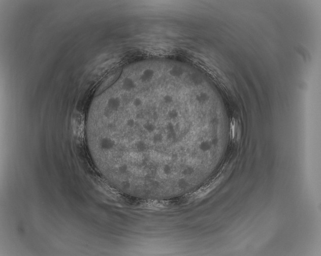 X0000110891251200907091347