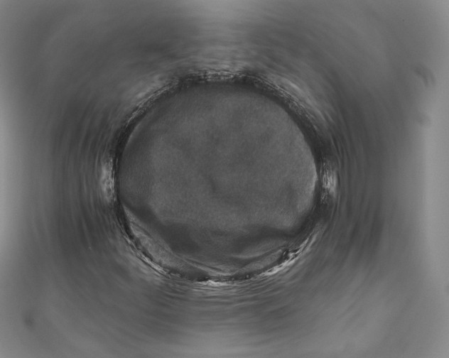 X0000110891252200907091347