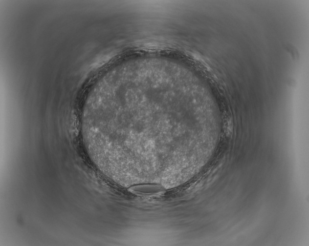 X0000110891253200907091347