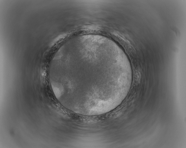 X0000110891254200907091347