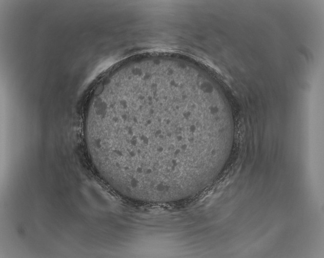 X0000110891255200907091347