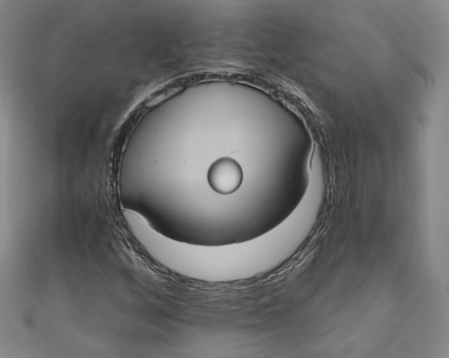 X0000110891256200907091346