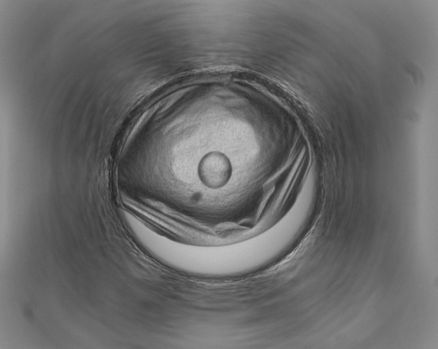 X0000110891257200907091346