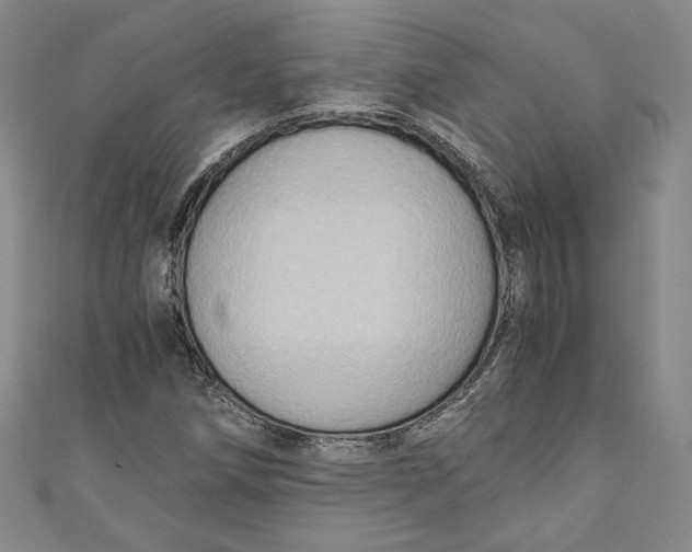 X0000110891258200907091346