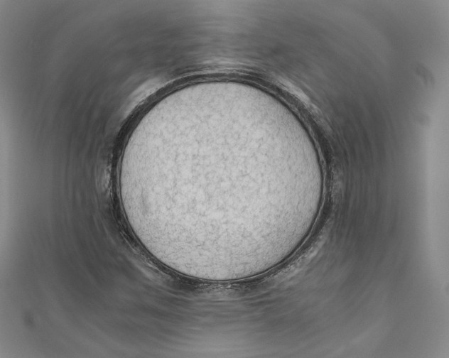 X0000110891259200907091346