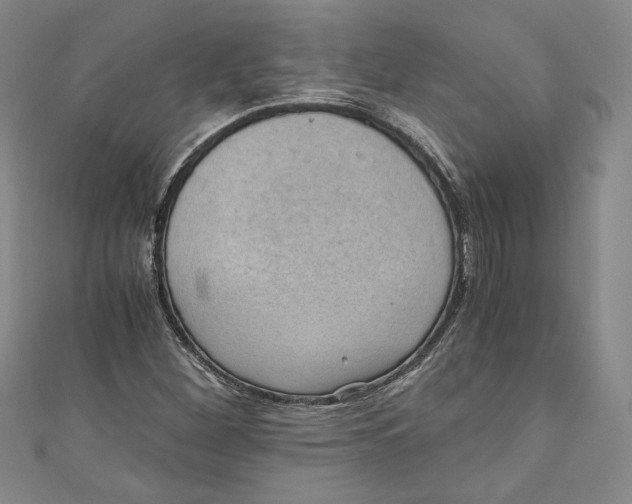 X0000110891260200907091346