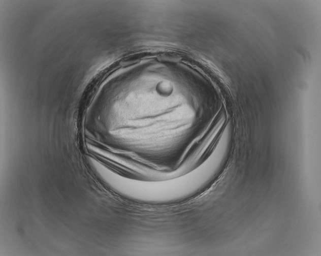 X0000110891261200907091346