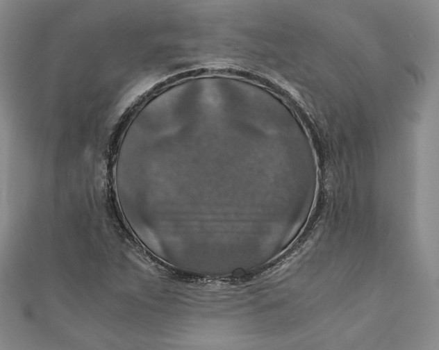 X0000110891263200907091346