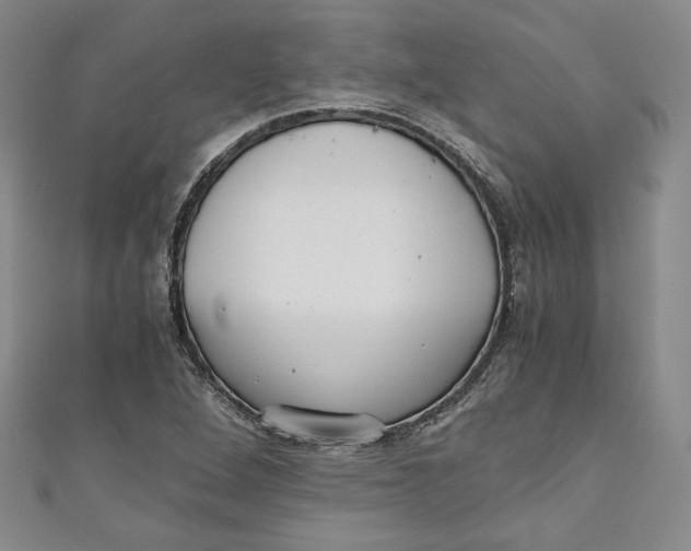 X0000110891264200907091346